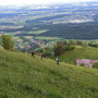 Blick von oben auf die Längmatt hinunter