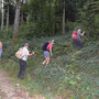 in kurzen Hosen durch die Brombeeren