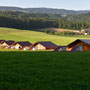 Neue Hühnerfarm