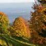 Start im Stierenberg Rank