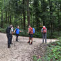 oberhalb Fallern