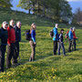 Bergfrühling in voller Blüte