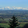 Alpenpanorama auf Höhe Muniboden