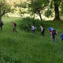 Hinein ins hohe Gras, aber jederzeit auf dem Wanderweg