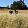 Natur pur, ohne jegliche Eingriffe