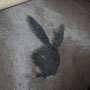 Playboy Bunny - Schermuster Winter 2009/2010