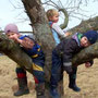 Seele baumeln lassen im Obstbaum