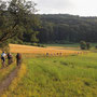 Feldweg westlich von Eschenbach