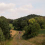 Feldweg nach Lichtenegg