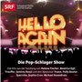 Sampler "Hello Again", 2014