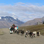 Green Dog / Hurtigruten Svalbard