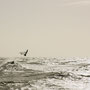 Windsurfer bij storm Waddenzee 2008