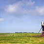 Weiland met spinnekop molen Workum 2009