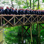 Mannenkoor Cantate Cum Gaudio Joure 2008