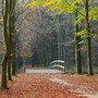 Herfs Oranjewoud (Fr) 2011