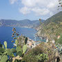 Blick auf Vernazza