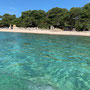Drevenik Veli