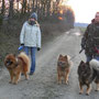 Silvesterspaziergang mit Bruder Mexx (Balder-Balder Vilji Solfagur)