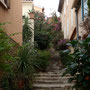 'Bormes-Les-Mimosas'