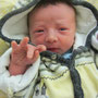 Levin 03.04.12