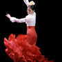 flamenco new wave '11