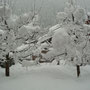 Winter in Tschagguns