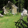 randonnee à la ferme des Ânes