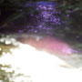 01. Orbs vibrieren oberhalb des Rosalichts, das sich ebenfalls schwebend oberhalb des Wassers zeigte