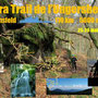 Ultra trail de l'Ungersberg