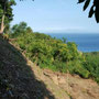 Lombok land for sale by owner