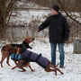 Pietro, Pino, Pebbles und Nela