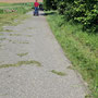 eine Gruppe Segway-Fahrer