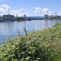 Basel in Sicht