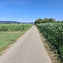 Richtung Apostelsee