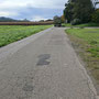 von Ringsheim nach Herbolzheim