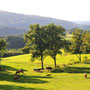 Limousin im Zentralmassiv