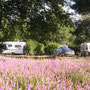 Campingplatzt für Eselwanderung