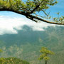 Vistas desde el Bejenado, La Palma