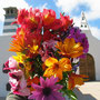 Flores La palma