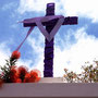 Cruces de Mayo, La Palma