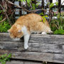 25. Mai 2025: Merlin auf der Terrasse.