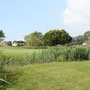 Der Platz des Golfclubs Pra delle Torri bei Caorle