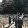 むろいけの湿生花園の木道　土はイノシシが全面に掘り返していました