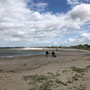 Spaziergang zum Strand von Priewall