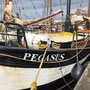 ... die "Pegasus" kennt hier jeder in Rostock