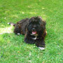 Gretel
