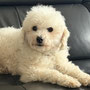 Coco Feb 26