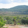 Blick vom Weingut Sa Coma