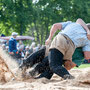 baselstädtischer schwingertag, basel 14. Mai 2015