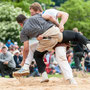 bündner-glarner schwingfest, näfels 25. mai 2015